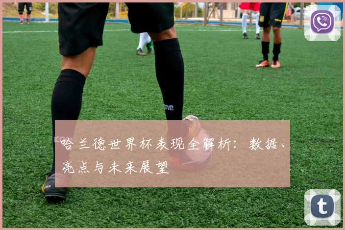 哈兰德世界杯表现全解析：数据、亮点与未来展望