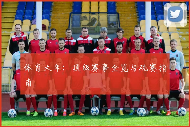 体育大年：顶级赛事全览与观赛指南