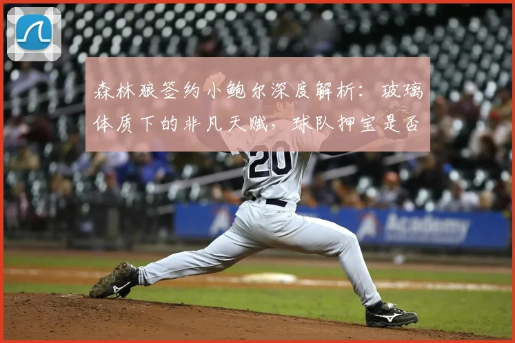 森林狼签约小鲍尔深度解析:玻璃体质下的非凡天赋,球队押宝是否明智?